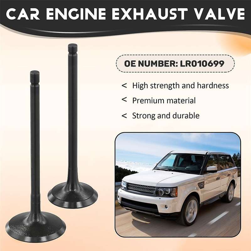 8 Paris Engine Intake Valve and Exhaust Valve for 5.0 508PN V8 LR010699 LR055528