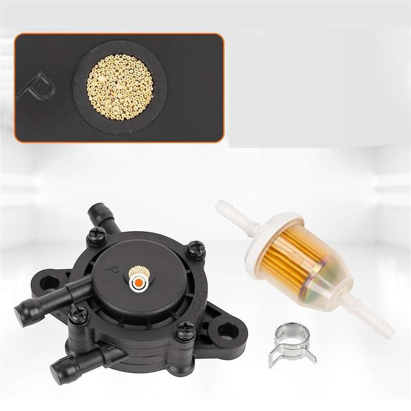 808656 491922 Fuel Pump with Fuel Filter for Bs 691034 692313 808492 49040-7001 24 393 04-s 24 393