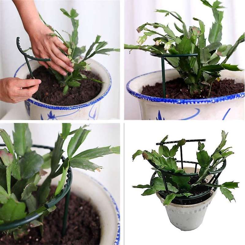8PC Plant Support Pile, Garden Flower and Green Plant Support Ring, Flowerpot Support Ring, Suitabl