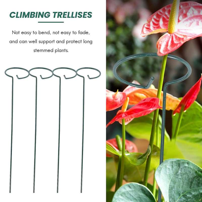8PCS Beautiful Plant Support Stand Flowers Support Ring Metal Plant Support Stakes Bonsai Support Ba