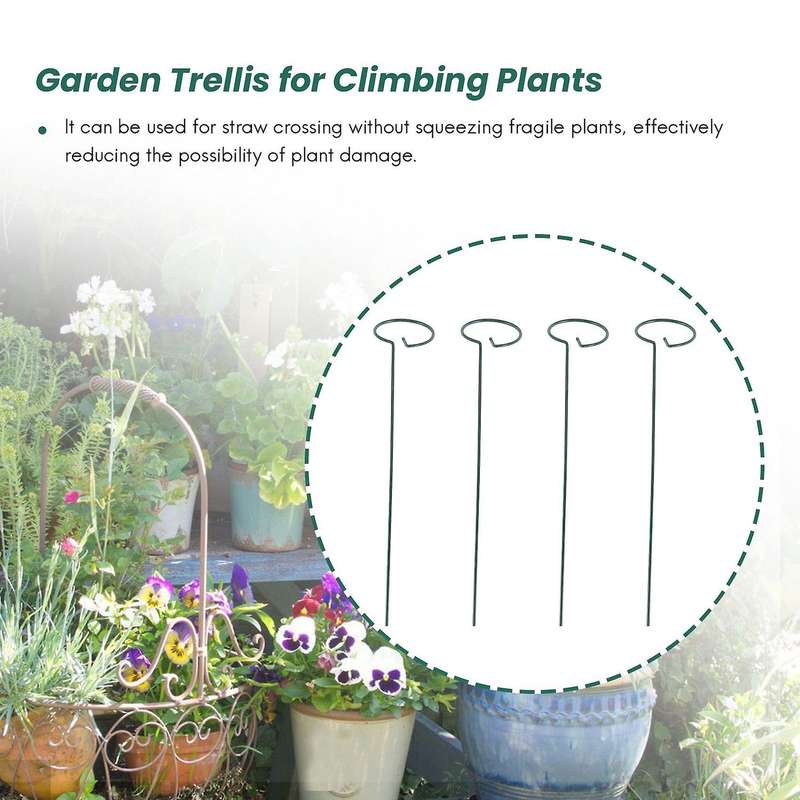 8PCS Beautiful Plant Support Stand Flowers Support Ring Metal Plant Support Stakes Bonsai Support Ba