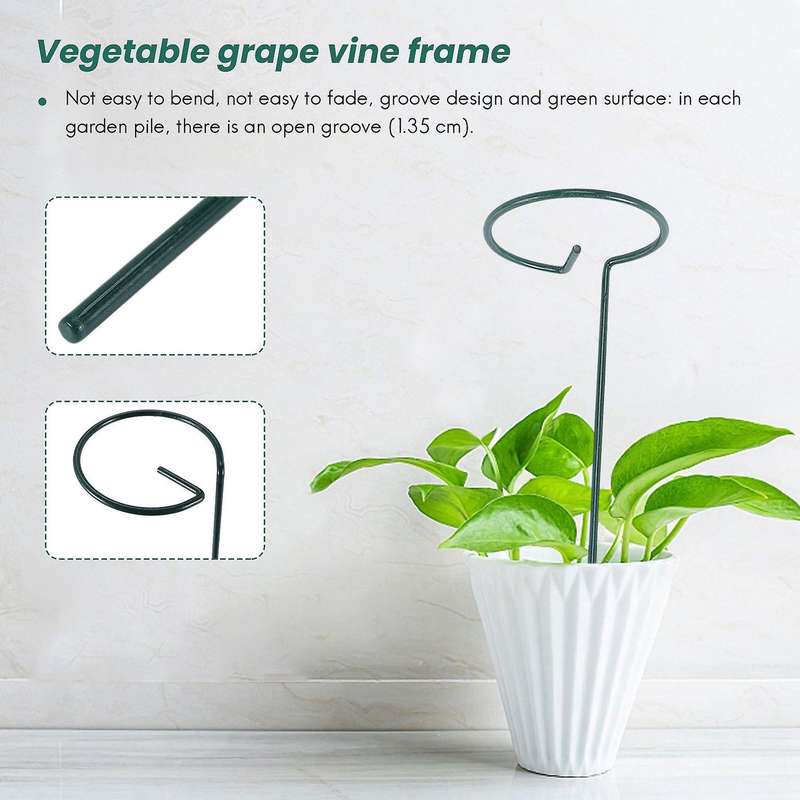 8PCS Beautiful Plant Support Stand Flowers Support Ring Metal Plant Support Stakes Bonsai Support Ba