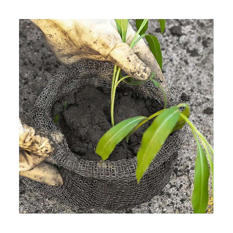 8pcs Dense Mesh Plant Protector 5 Gallon Wire Basket Stainless Steel Reusable Garden Durable