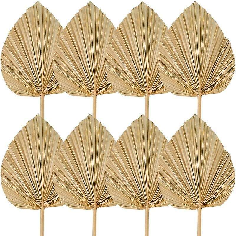 8PCS Dried Palm Leaves Decorations Trimmed Dried Palm Spear Palm Fans Tropical Dried Wedding Flower