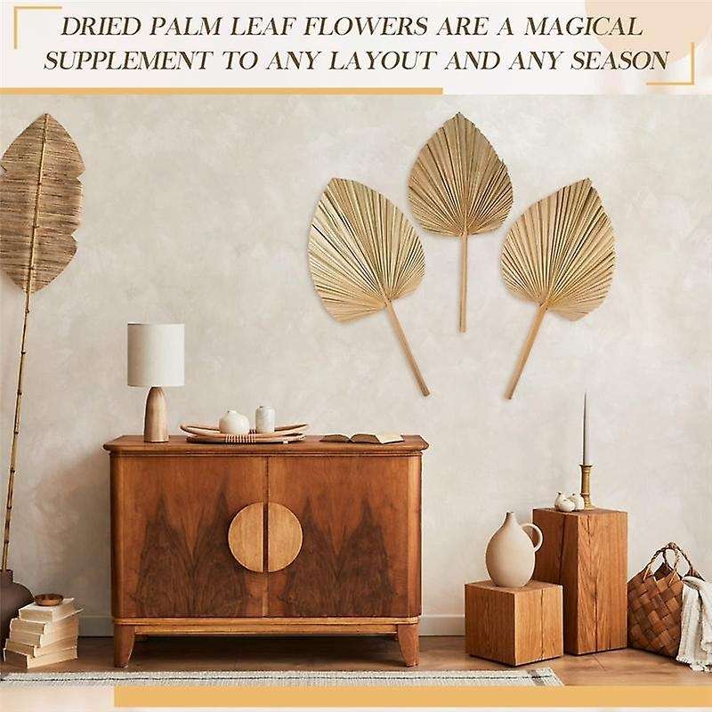 8PCS Dried Palm Leaves Decorations Trimmed Dried Palm Spear Palm Fans Tropical Dried Wedding Flower
