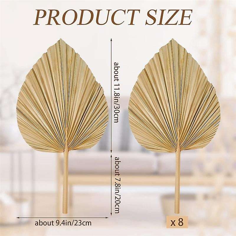 8PCS Dried Palm Leaves Decorations Trimmed Dried Palm Spear Palm Fans Tropical Dried Wedding Flower