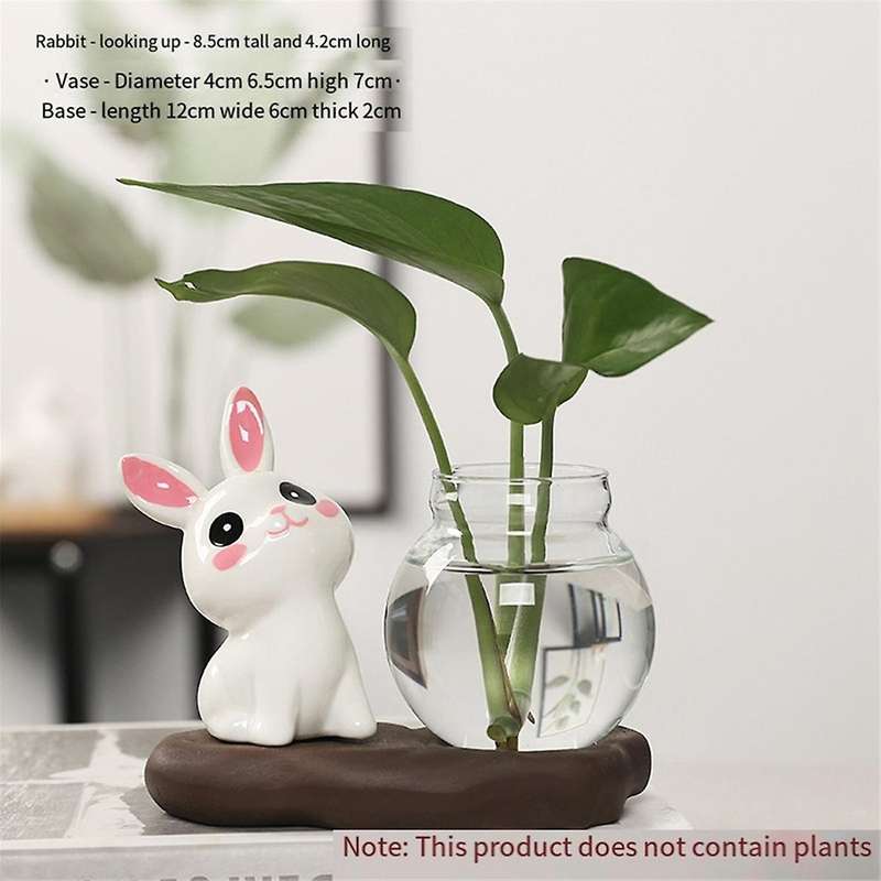 A Cartoon Cute Rabbit Hydroponic Flower Vase Transparent Glass Flower Arrangement Plant Pots Plants
