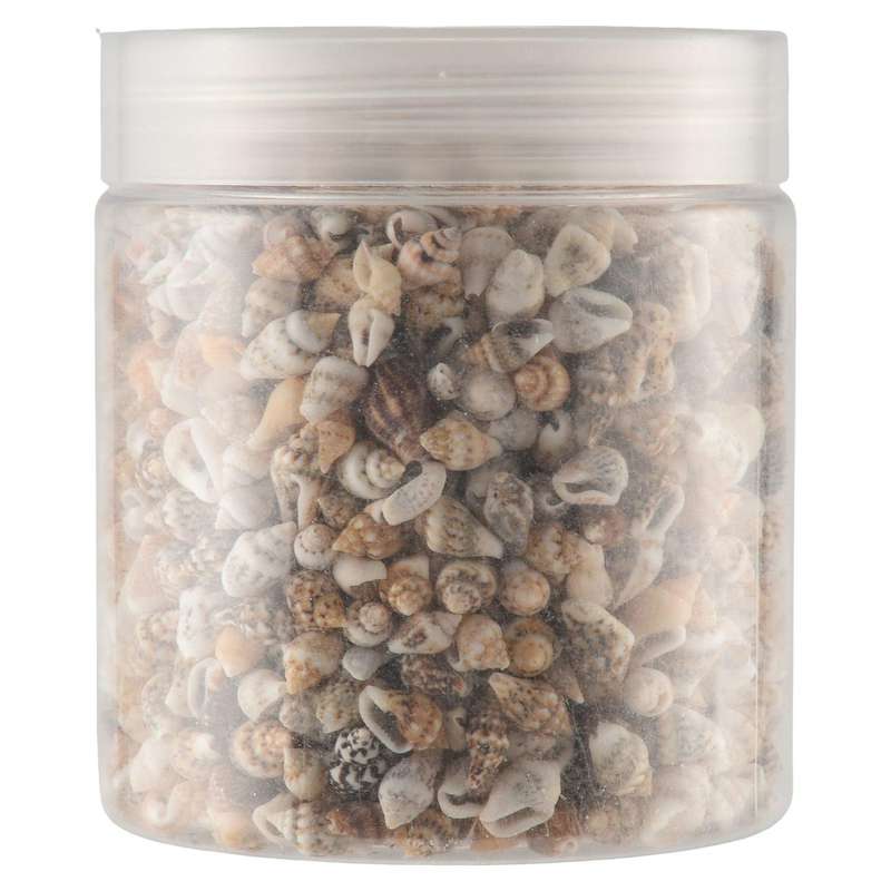 About 1300-1500 Tiny Sea Shell Ocean Beach Spiral Seashells Craft Charms 7-12mm for Candle Making,ho