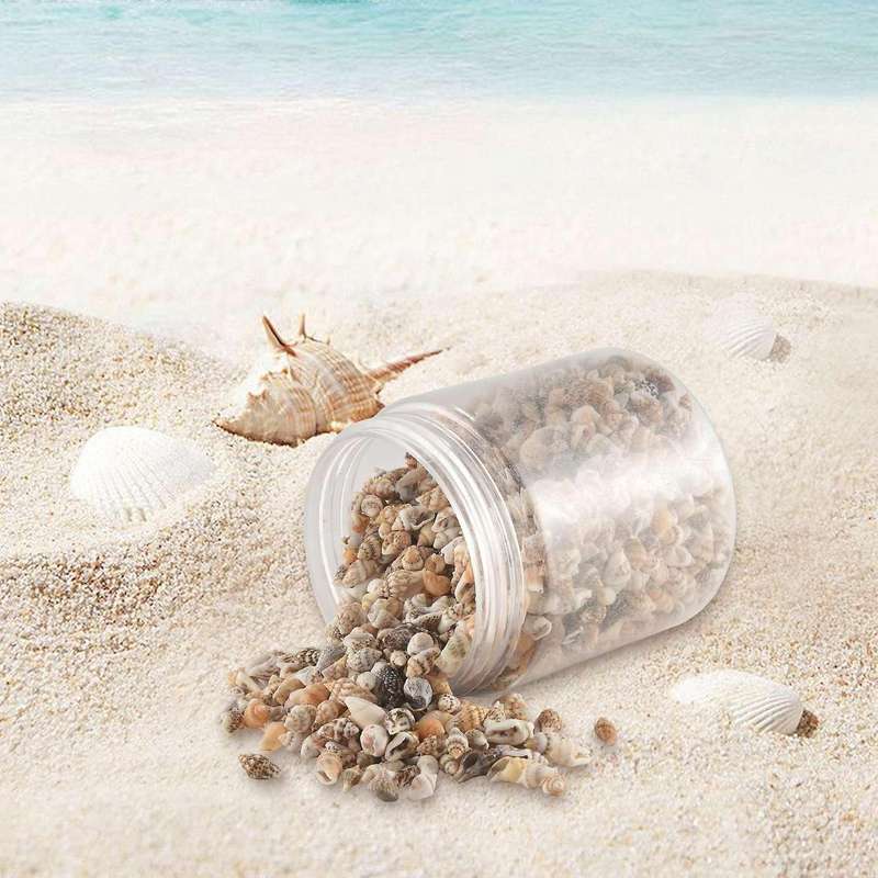 About 1300-1500 Tiny Sea Shell Ocean Beach Spiral Seashells Craft Charms 7-12mm for Candle Making,ho