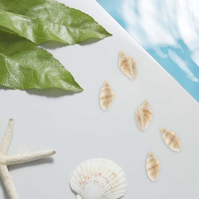 About 1300-1500 Tiny Sea Shell Ocean Beach Spiral Seashells Craft Charms 7-12mm for Candle Making,ho