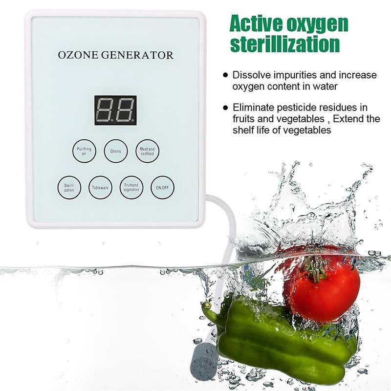 Active Ozone Generator Smart Fruits and Vegetable Disinfection Machine Disinfector Multi Functional