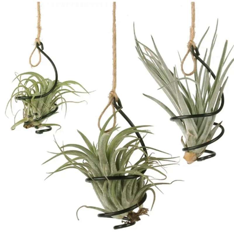Air Hook Hanging Flower Stand Pots Display Hanger Holder Iron
