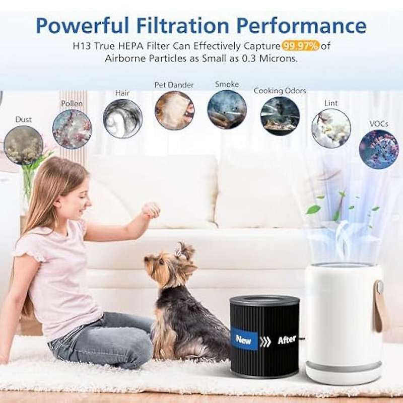 Air Mini -HEPA Replacement Filters for Molekule Air Mini Molekule Air Mini+ Air Purifiers, 2 Pack