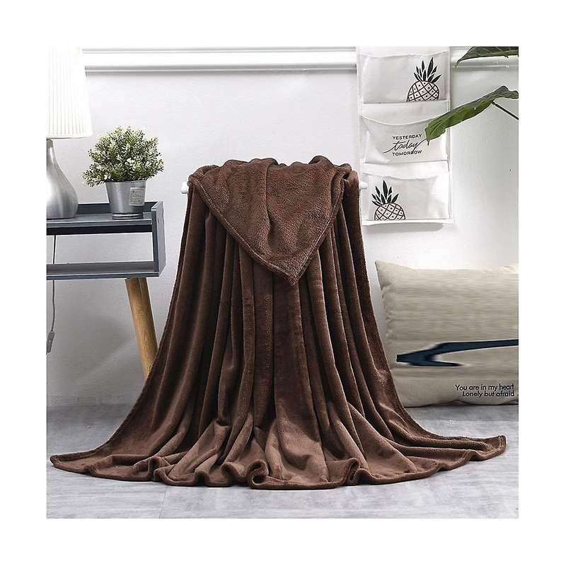 Air-conditioned Quilt Plush Blanket Plush Throw , Ultra-soft Mini Plush Lightweight Blankets for Co