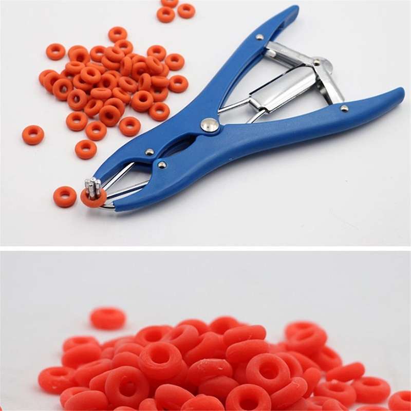 Animal Tail Removal Pigs Sheep Castration Pliers Particulate Rubber Ring Castration Device Veterinar
