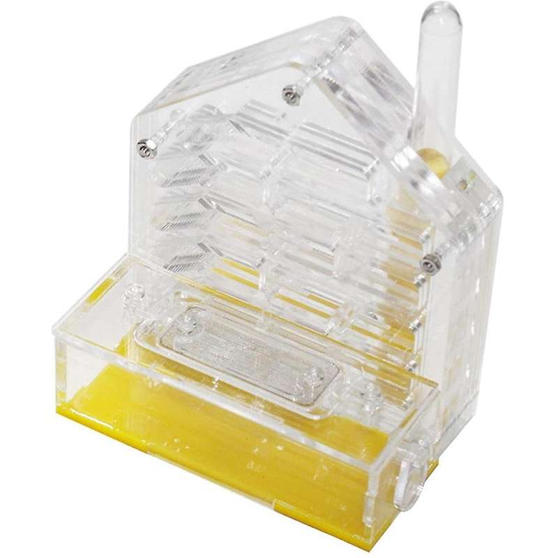 Ant Nest Ant Farm Acrylic Farm Insect Cage Display Space for Ant Feeding, Ant Feeding Farm House Ant
