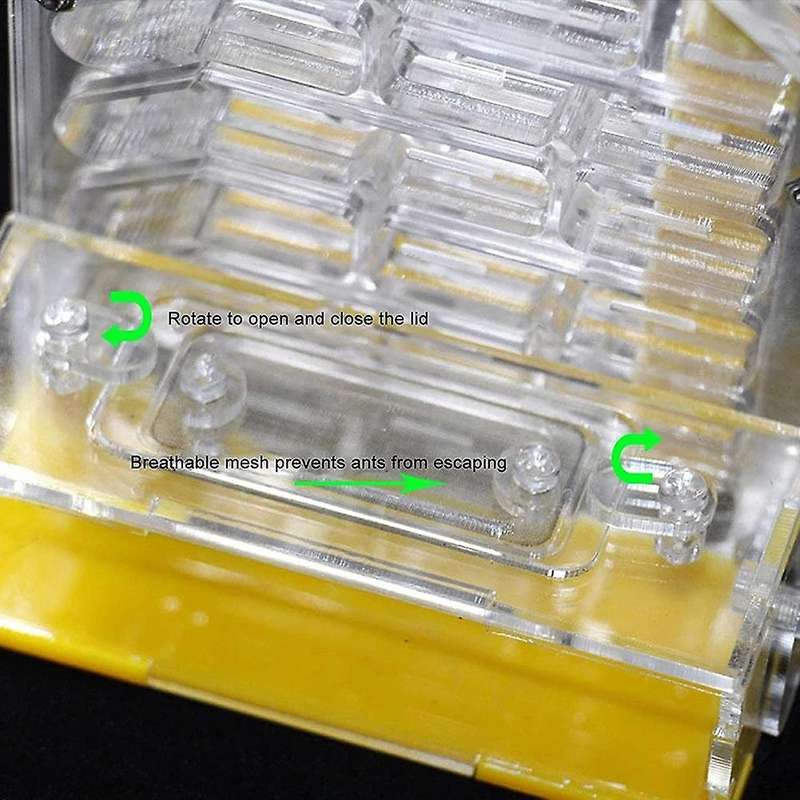 Ant Nest Ant Farm Acrylic Farm Insect Cage Display Space for Ant Feeding, Ant Feeding Farm House Ant