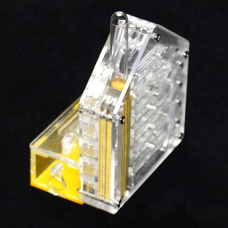 Ant Nest Ant Farm Acrylic Farm Insect Cage Display Space for Ant Feeding, Ant Feeding Farm House Ant