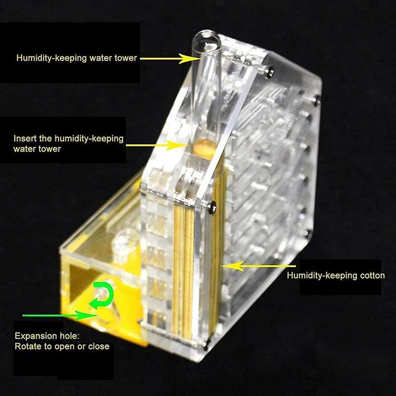 Ant Nest Ant Farm Acrylic Farm Insect Cage Display Space for Ant Feeding, Ant Feeding Farm House Ant