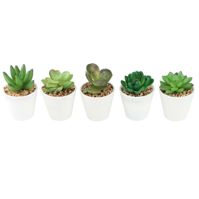 Artificial Mini Succulent Plants Set of 5, Small Succulent, Plants Small Potted, in Light Grey Pot