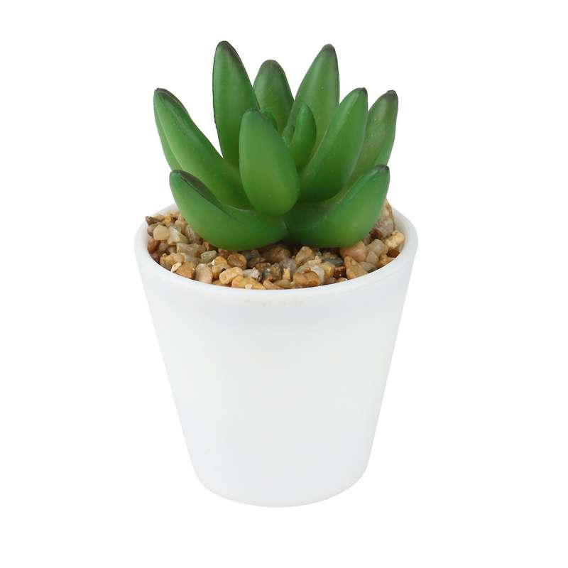 Artificial Mini Succulent Plants Set of 5, Small Succulent, Plants Small Potted, in Light Grey Pot