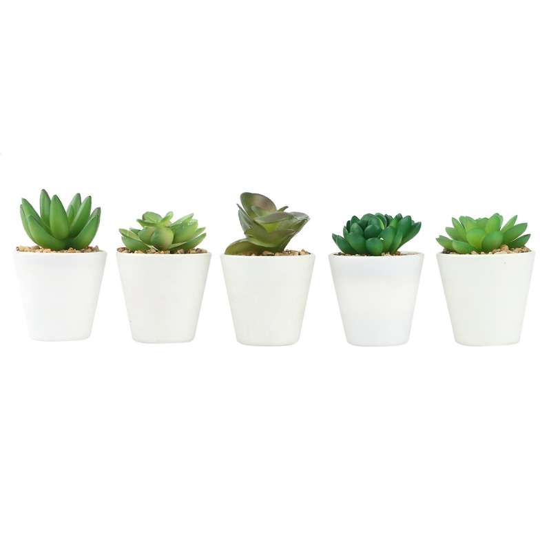 Artificial Mini Succulent Plants Set of 5, Small Succulent, Plants Small Potted, in Light Grey Pot