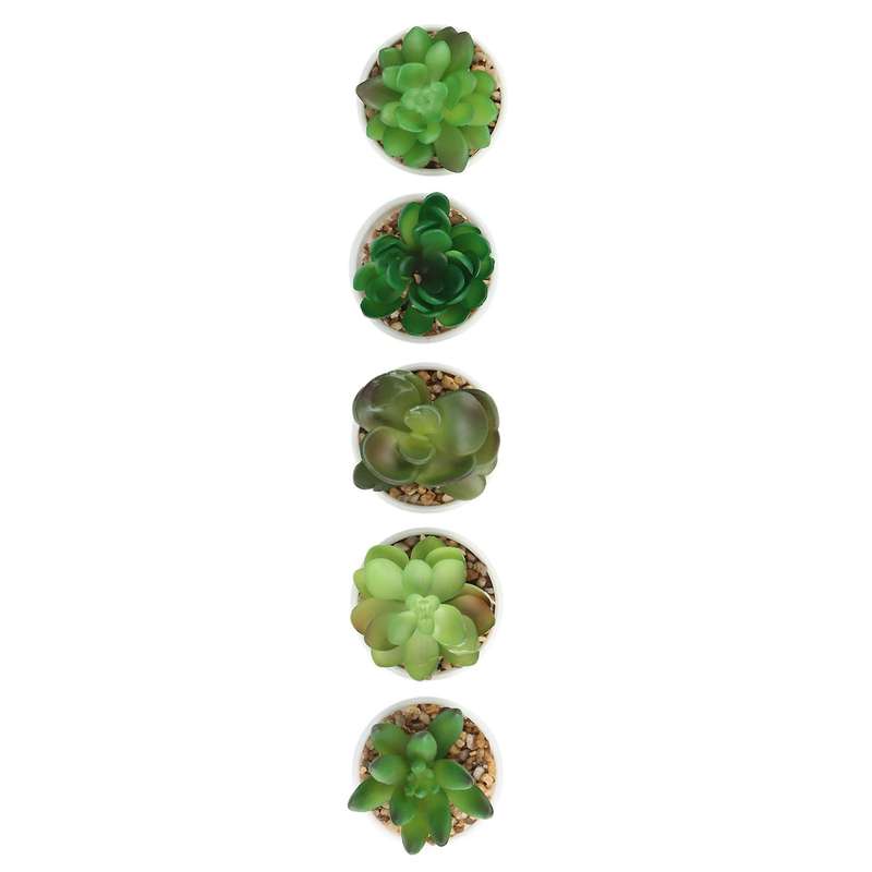 Artificial Mini Succulent Plants Set of 5, Small Succulent, Plants Small Potted, in Light Grey Pot