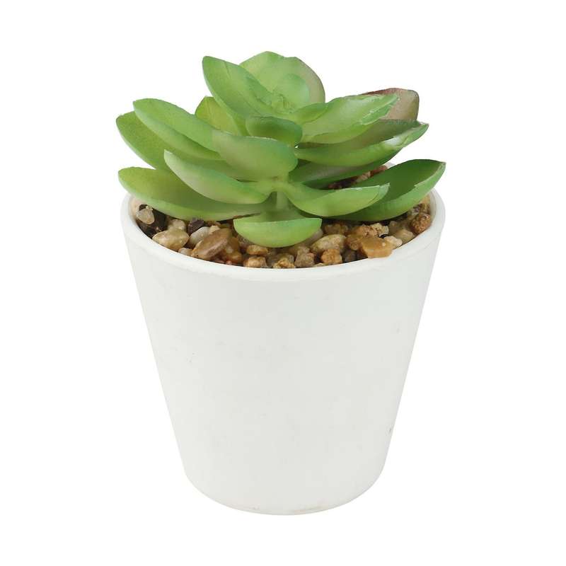 Artificial Mini Succulent Plants Set of 5, Small Succulent, Plants Small Potted, in Light Grey Pot