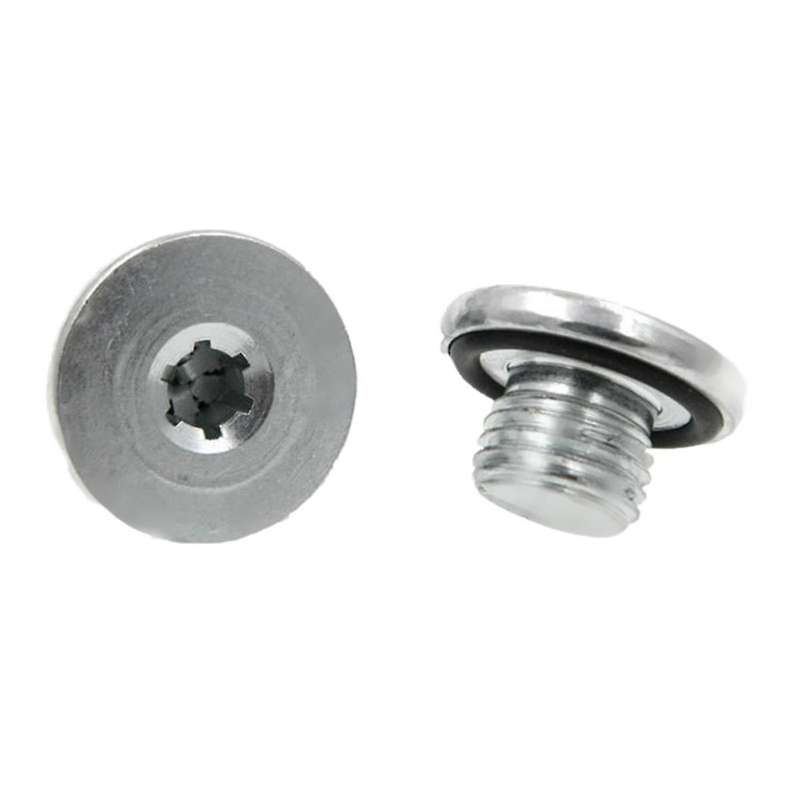 Auto Engine Parts Oil Drain Screw Primer Oil Drain Bolt for 90502556 90528145