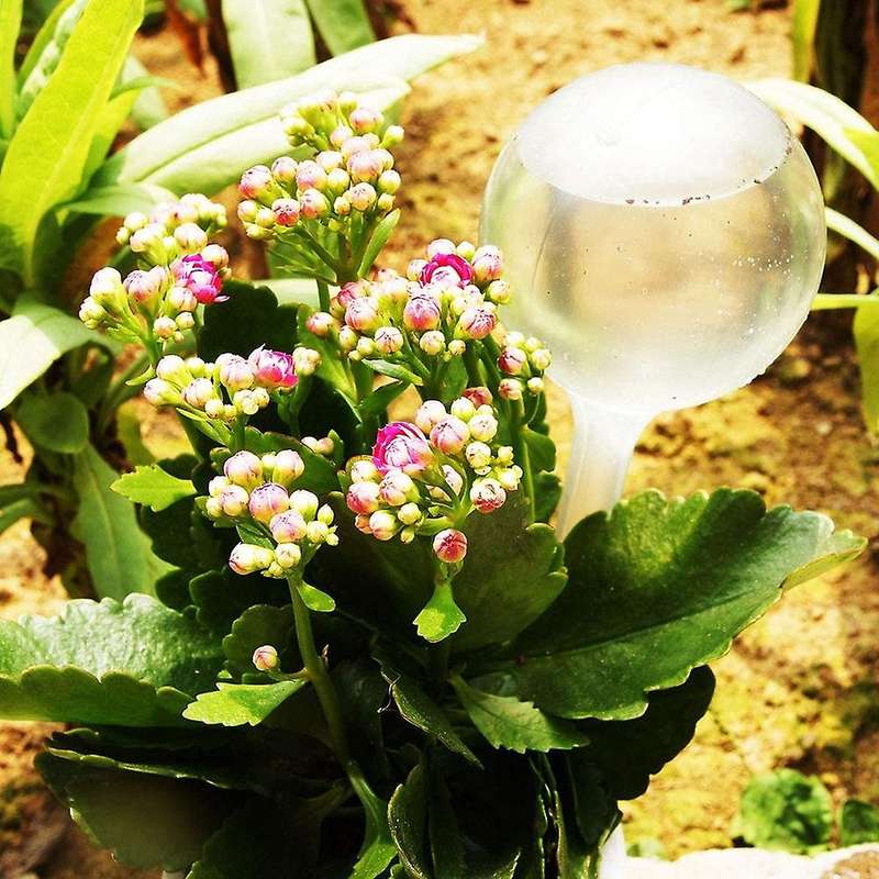 Auto Self Watering Plant Bulbs, Unbreakable Plastic Balls Indoor Plants Watering Device, Watering Gl