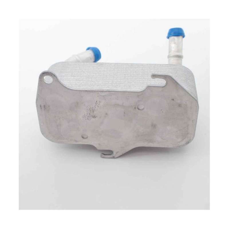 Auto Transmission Radiator 8r2z7a095bd for Falcon Fg Mk2 Territory