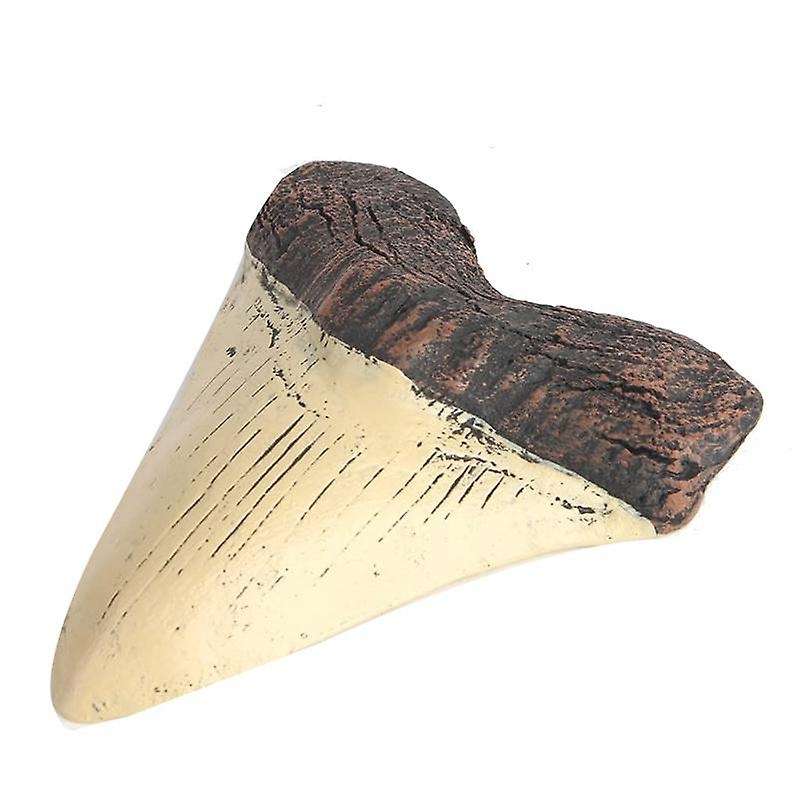 Megalodon Tooth Fossil Giant Tooth Megalodon Tooth Resin Replica