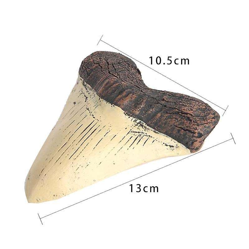 Megalodon Tooth Fossil Giant Tooth Megalodon Tooth Resin Replica