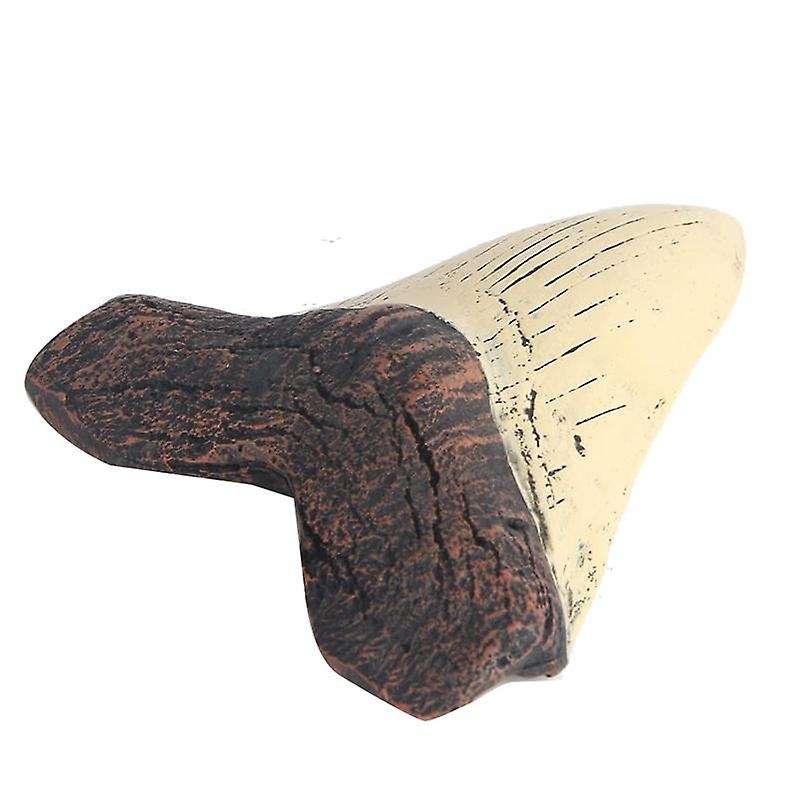 Megalodon Tooth Fossil Giant Tooth Megalodon Tooth Resin Replica