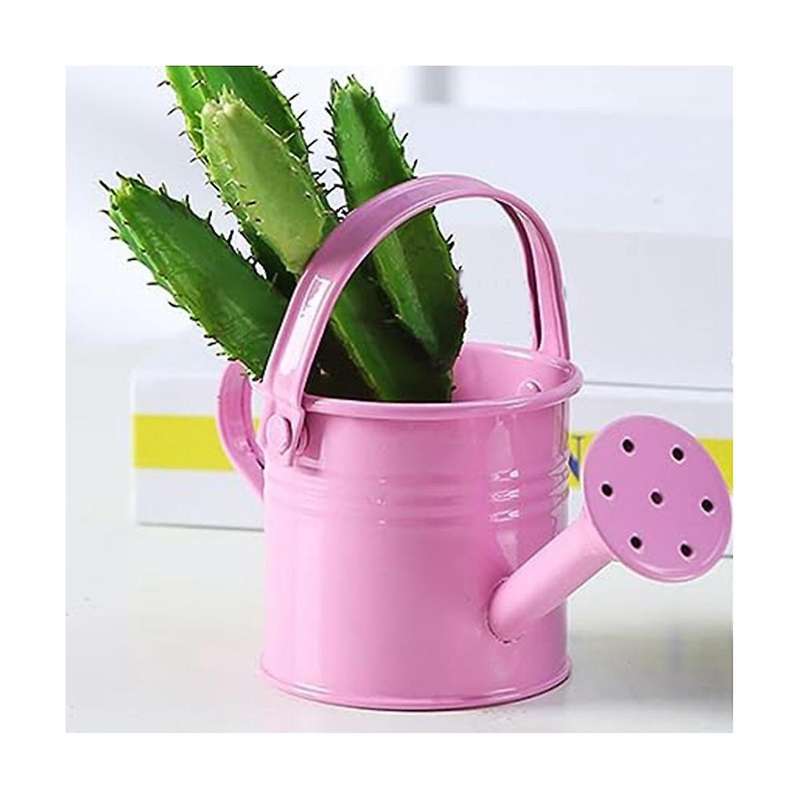Metal Watering Can, , Children Iron Watering Tin Sprinkling Kettle for Garden Home Plants Flower