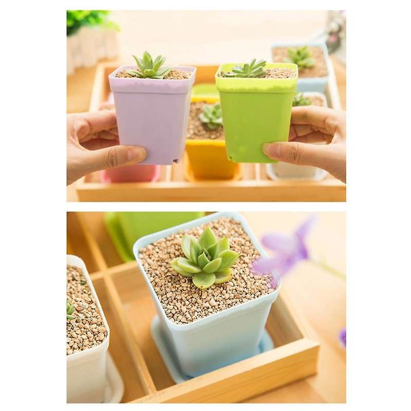 Mini Colorful Flower Pots, Plastic Flower Pots, Succulent Flower Pots (Random Colors)