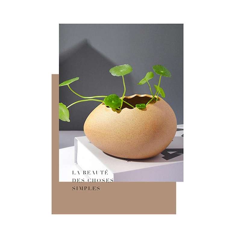 Modern Simple Ceramic Crafts Personality Dessert Bowl Egg Shell Ostrich Egg Vase Home Decorations