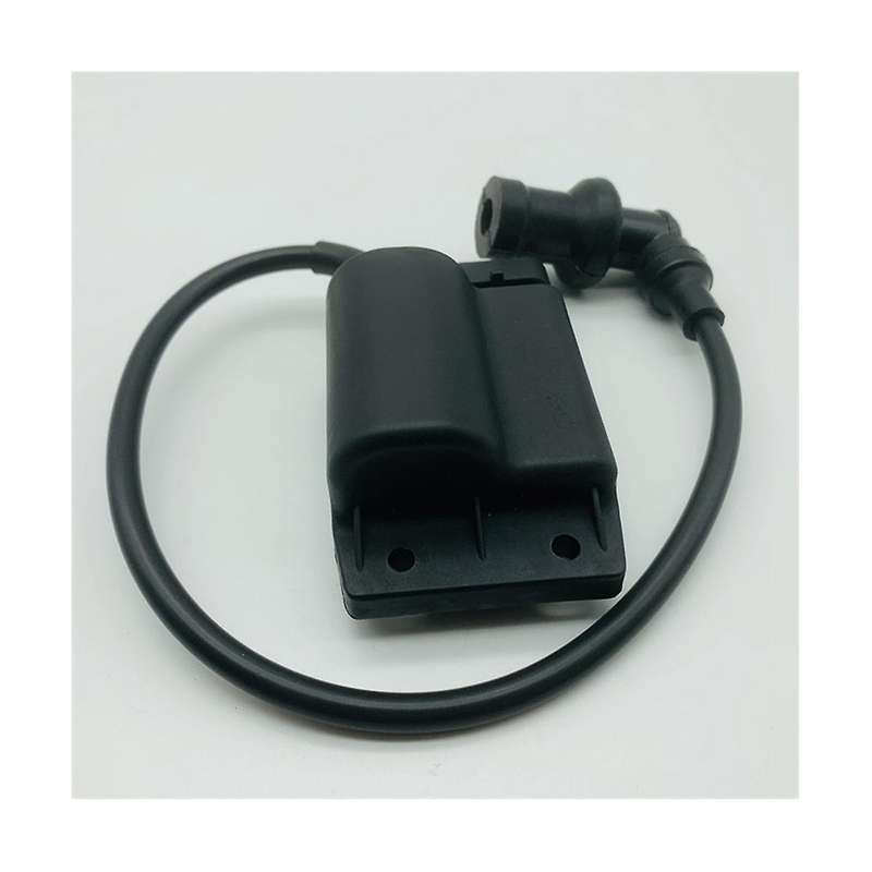 Motorcycle Coil for Liberty / Sport 50 4t for Et4 / Lx/ Lxv 50 Zip 50 4t