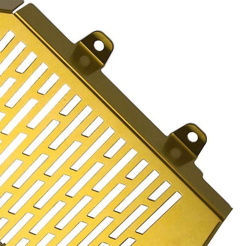 Motorcycle Radiator Protective Cover Protector Motorcycle Accessories for ADV 150 Adv150 2019 2020 G