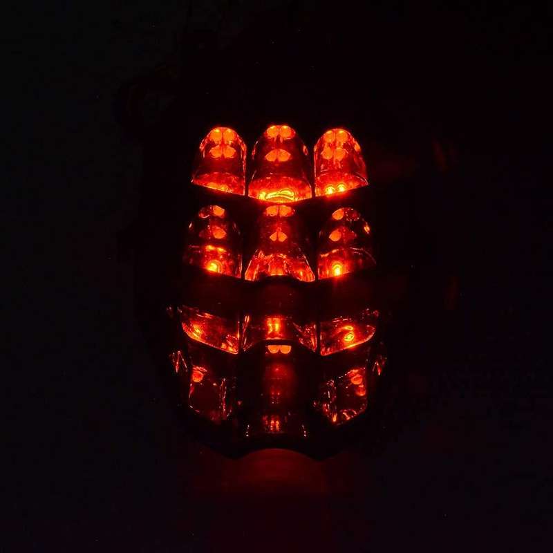 Motorcycle Rear Tail Light Brake Lights for 675 675R Speed Triple R 675 13-16 Street Triple S 765 17
