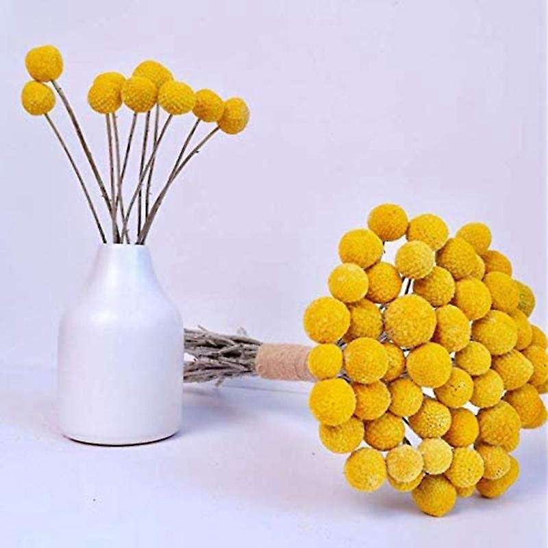 Natural Dried Flower Yellow Ball Bouquet Bunch, Real Harvested Dried Bunch, Decoration Crafts