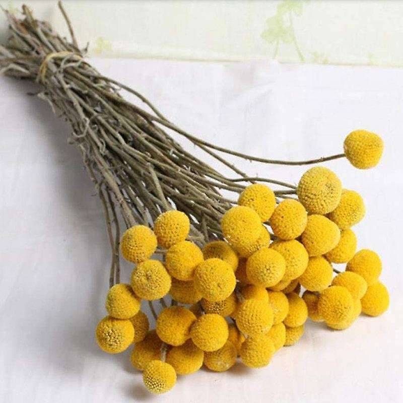 Natural Dried Flower Yellow Ball Bouquet Bunch, Real Harvested Dried Bunch, Decoration Crafts