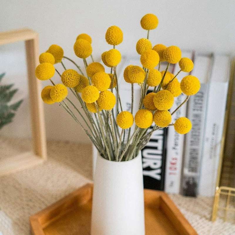 Natural Dried Flower Yellow Ball Bouquet Bunch, Real Harvested Dried Bunch, Decoration Crafts