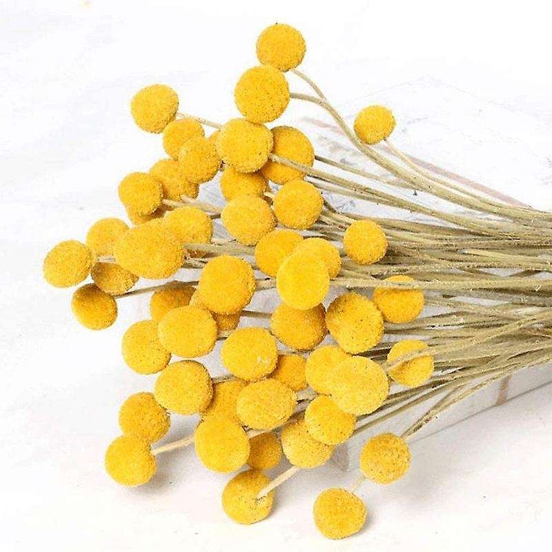 Natural Dried Flower Yellow Ball Bouquet Bunch, Real Freshly Harvested Dried Plant Bunch, Decoration