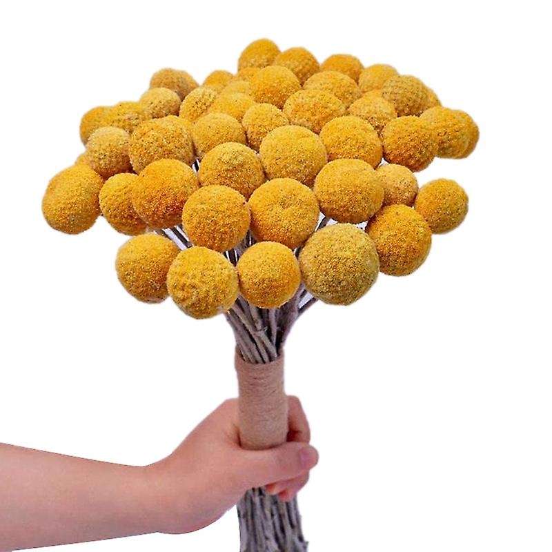 Natural Dried Flower Yellow Ball Bouquet Bunch, Real Freshly Harvested Dried Plant Bunch, Decoration