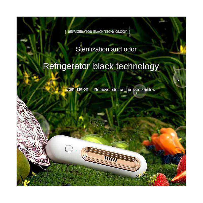 Negative Ion Air Purifier Portable Air Filter Mute Refrigerator Deodorizer Purifier Remove Pet Toile