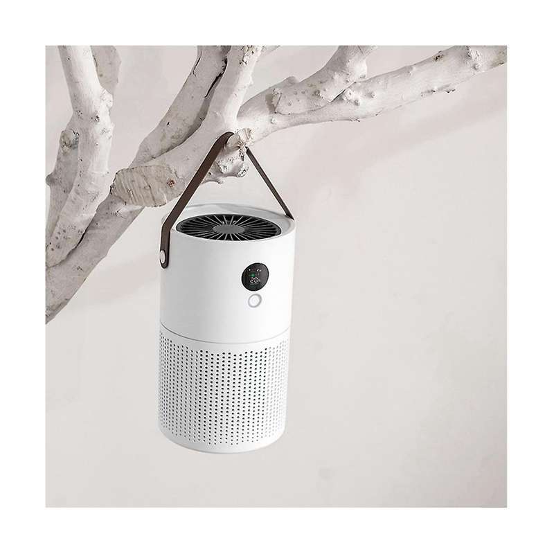 Negative Ion Air Purifier Portable Indoor Formaldehyde Air Filter Usb Mute Smoke Removal Purifier wi
