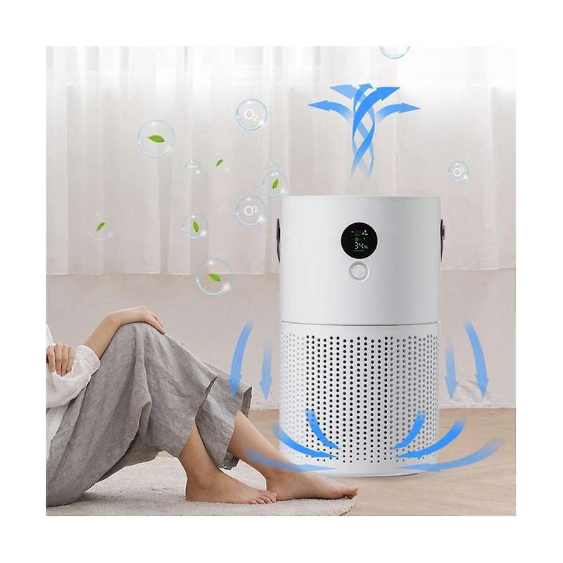 Negative Ion Air Purifier Portable Indoor Formaldehyde Air Filter Usb Mute Smoke Removal Purifier wi