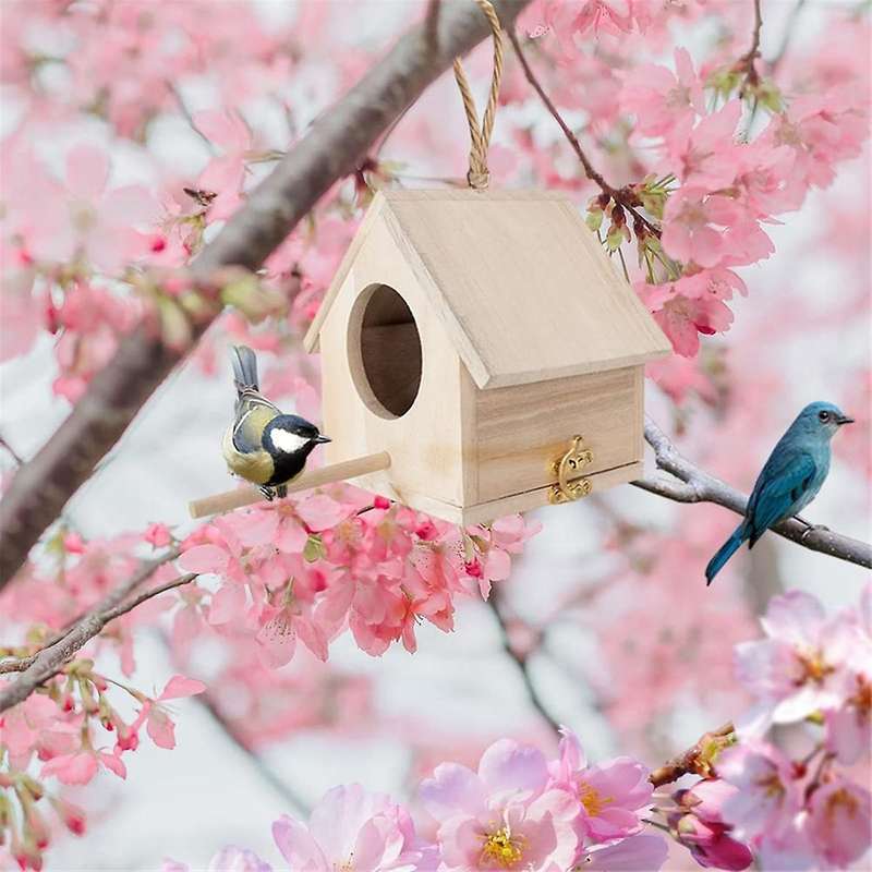 Nesting Box for Tits, Nesting Box Kit Robin, Bird House, Weatherproof for Hanging, Nesting Boxes for
