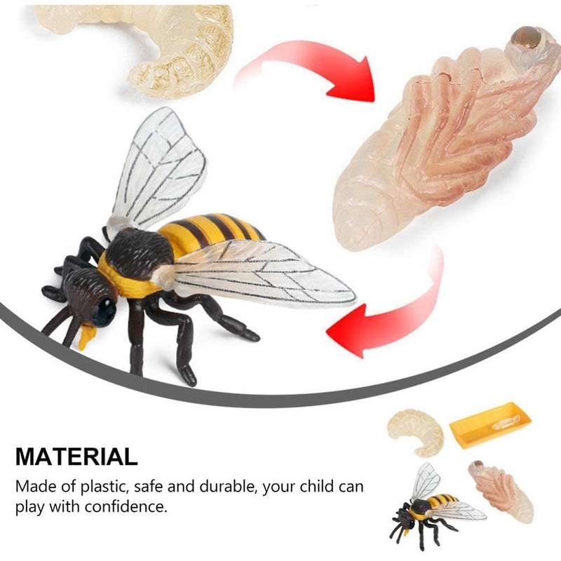 Pack Of 4 Insect Figurines Life Cycle Of Realistic Insects Figures Toys Educational Science Model T